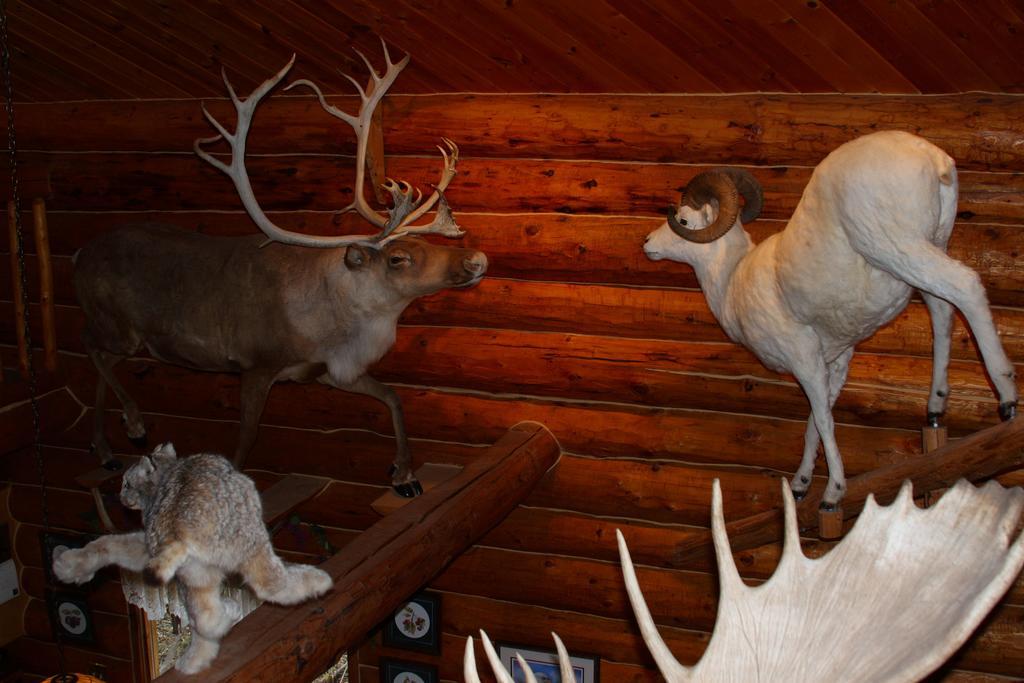 Wise Old Hunter Lodge Anchor Point Zimmer foto