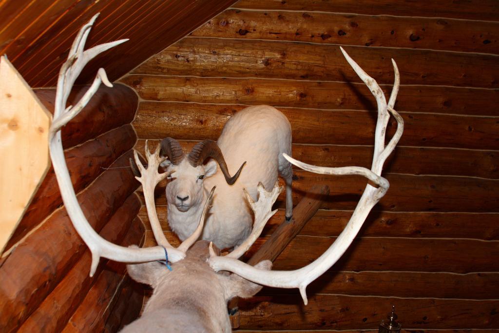 Wise Old Hunter Lodge Anchor Point Zimmer foto