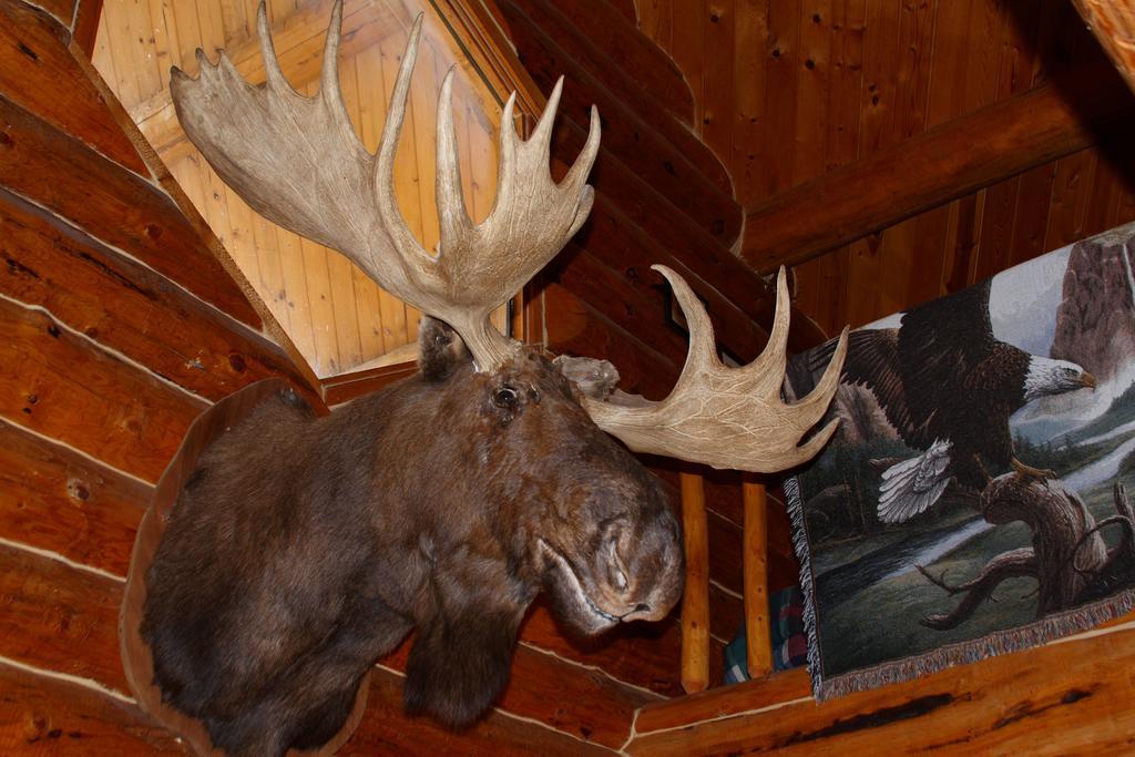 Wise Old Hunter Lodge Anchor Point Zimmer foto